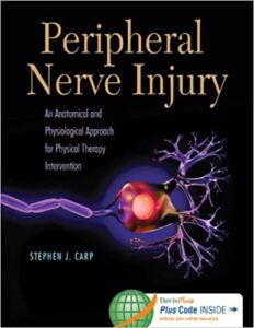 Peripheral Nerve Injury An Anatomical and Physiological Approach for Physical Therapy Intervention