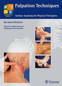 Palpation Techniques Surface